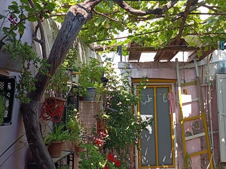Əmircanda 2 otaqlı həyət evi satılır, 38 m², 46 000 AZN, şəkil 4 / 8