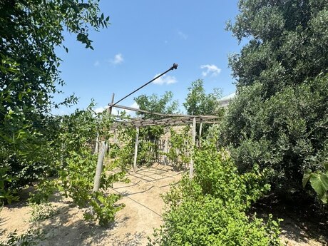 Hövsanda 3 otaqlı həyət evi satılır, 80 m², 75 000 AZN, şəkil 2 / 12