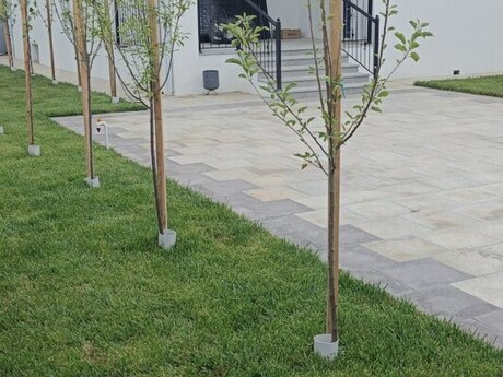 Zirədə 4 otaqlı həyət evi satılır, 110 m², 135 000 AZN, şəkil 5 / 12