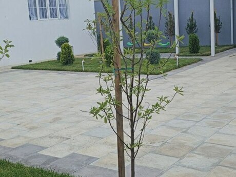 Zirədə 4 otaqlı həyət evi satılır, 110 m², 135 000 AZN, şəkil 4 / 12