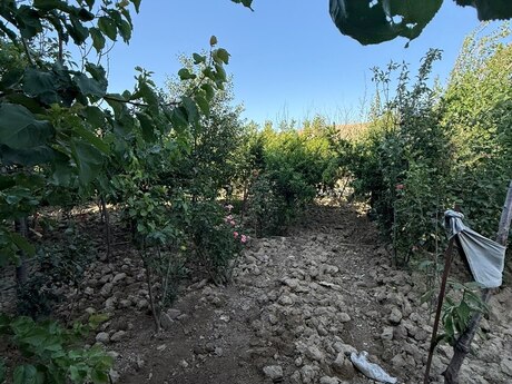 Qobuda 8 otaqlı həyət evi satılır, 250 m², 85 000 AZN, şəkil 4 / 11