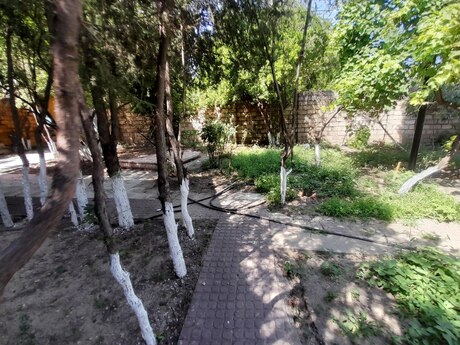 Gənclikdə 3 otaqlı həyət evi kirayə verilir, 220 m², 1 800 AZN/ay, şəkil 2 / 12