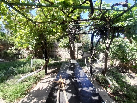 3 otaq · 220 m² · 1/1 mərtəbə, Gənclik