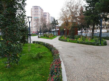 3-room old-build apartment for sale in Gənclik, 75 m², 214 000 AZN, photo 4 / 12