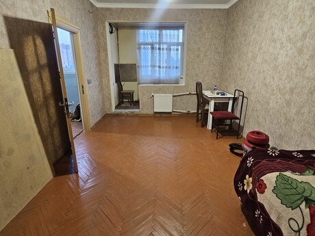 2 otaq · 43 m²