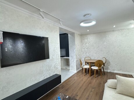 3 otaq · 55 m²