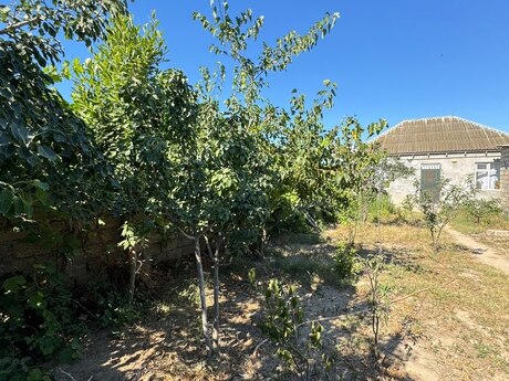 Hövsanda 3 otaqlı həyət evi satılır, 100 m², 69 000 AZN, şəkil 2 / 12