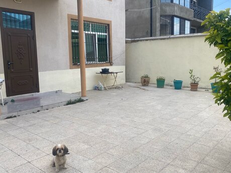 Zabratda 7 otaqlı həyət evi kirayə verilir, 220 m², 1 200 AZN/ay, şəkil 5 / 12