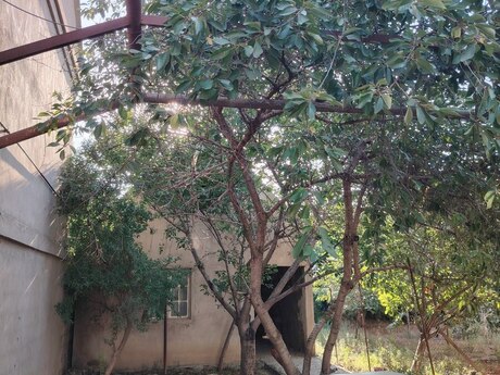 4-room house for sale in Mehdiabad, 100 m², 200 000 AZN, photo 4 / 12