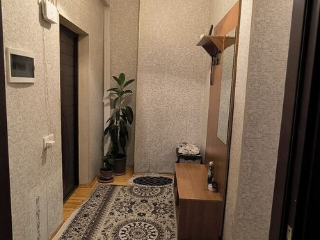1 otaq · 50 m²