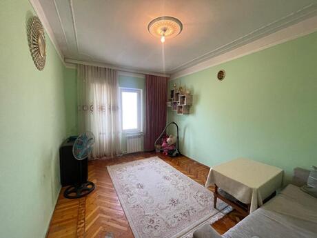 2 otaq · 65 m²