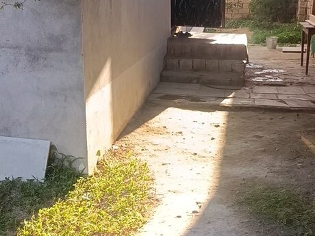 Maştağada 3 otaqlı həyət evi satılır, 85 m², 58 000 AZN, şəkil 5 / 12