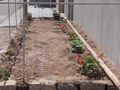 3 otaq · 130 m² · 1/1 mərtəbə, Binə