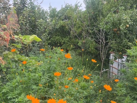 3-room house for sale in Görədil, 90 m², 120 000 AZN, photo 4 / 12