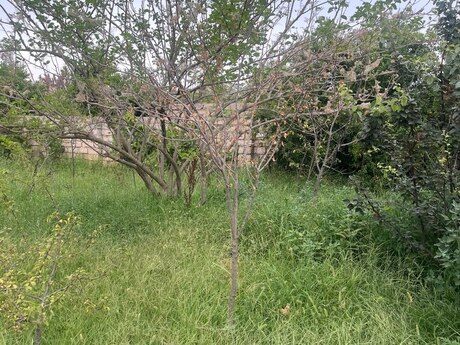 3-room house for sale in Görədil, 90 m², 120 000 AZN, photo 5 / 12