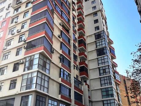 3 otaq · 210 m²