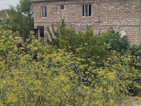 Şağanda 6 otaqlı həyət evi satılır, 280 m², 300 000 AZN, şəkil 3 / 8