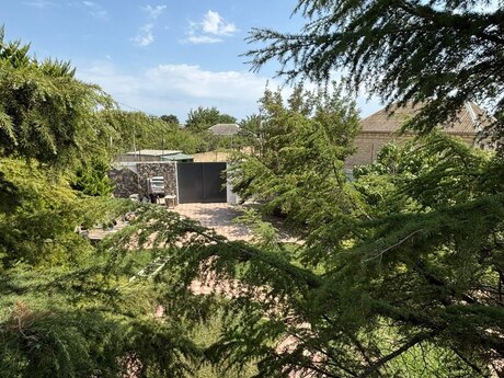 Sarayda 7 otaqlı həyət evi satılır, 350 m², 310 000 AZN, şəkil 3 / 12