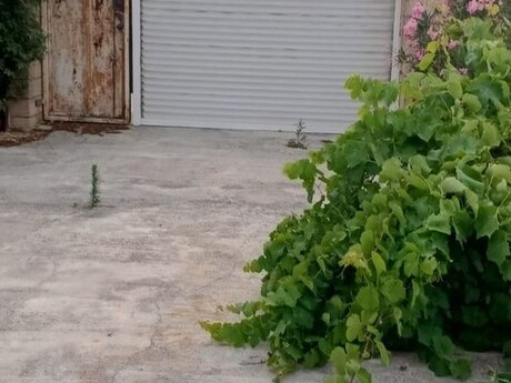 5-room house for sale in Kürdəxanı, 200 m², 95 000 AZN, photo 2 / 12