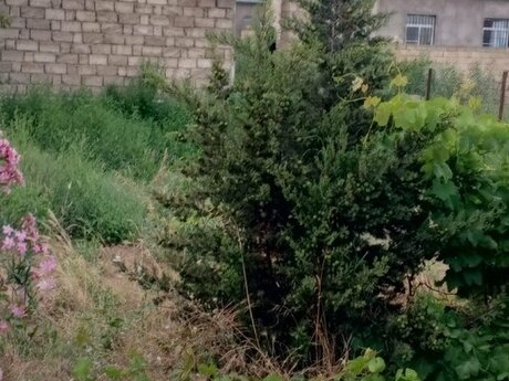 5-room house for sale in Kürdəxanı, 200 m², 95 000 AZN, photo 5 / 12