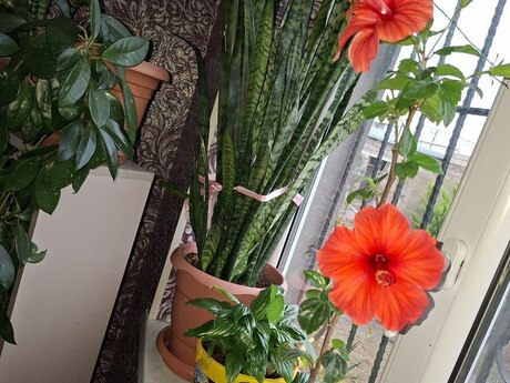 4-room house for sale in Qala, 120 m², 49 000 AZN, photo 4 / 12