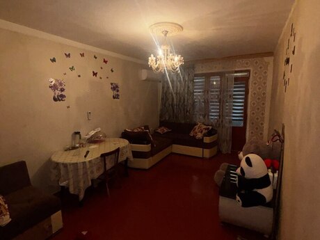 2 otaq · 50 m²