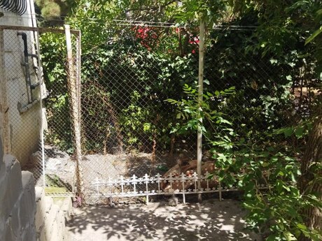 Memar Əcəmidə 2 otaqlı köhnə tikili mənzil kirayə verilir, 36 m², 560 AZN/ay, şəkil 3 / 12