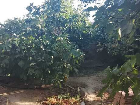 Maştağada 4 otaqlı həyət evi satılır, 165 m², 75 000 AZN, şəkil 2 / 12