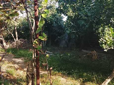 4 otaq · 165 m²
