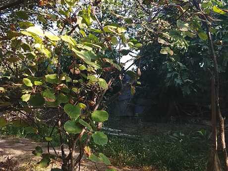 Maştağada 4 otaqlı həyət evi satılır, 165 m², 75 000 AZN, şəkil 3 / 12