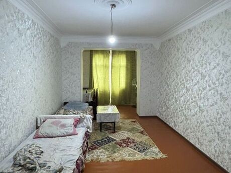 2 otaq · 50 m²