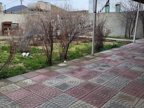 Maştağada 4 otaqlı həyət evi satılır, 99 m², 108 000 AZN, şəkil 5 / 12