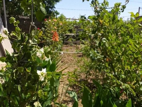 3-room house for sale in Qaraçuxur, 78 m², 110 000 AZN, photo 5 / 7