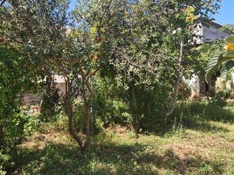 Bakıxanovda 1 otaqlı həyət evi satılır, 50 m², 125 000 AZN, şəkil 3 / 3