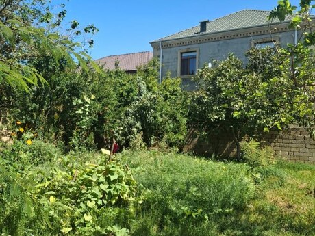 1 otaq · 50 m² · 1/1 mərtəbə, Bakıxanov
