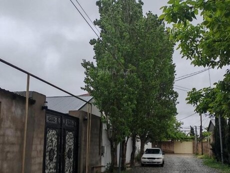 8 otaq · 300 m²