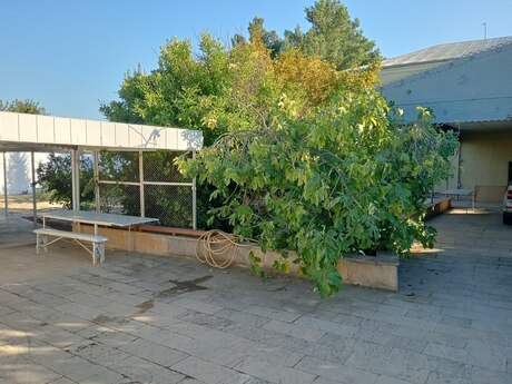 6-room house for sale in Novxanı, 260 m², 225 000 AZN, photo 3 / 12