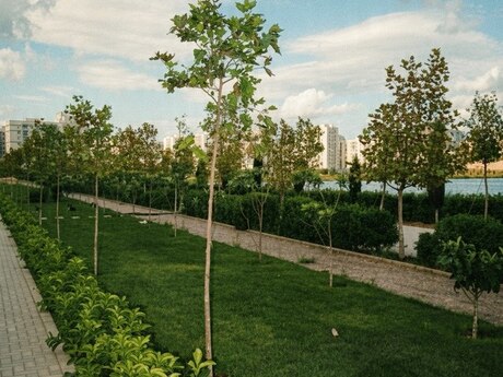 Park Yasamal kompleksində 3 otaqlı yeni tikili mənzil satılır, 82 m², 238 000 AZN, şəkil 3 / 12