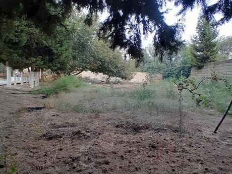 Novxanıda 4 otaqlı həyət evi satılır, 200 m², 135 000 AZN, şəkil 4 / 12