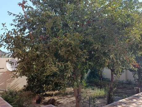 Mehdiabadda 3 otaqlı həyət evi satılır, 250 m², 130 000 AZN, şəkil 3 / 12