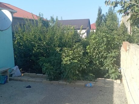 Masazırda 2 otaqlı həyət evi satılır, 35 m², 66 000 AZN, şəkil 5 / 5