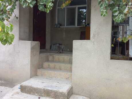 3 otaq · 150 m² · 1/1 mərtəbə, Saray