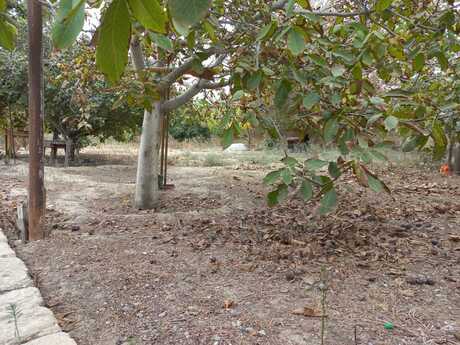 3-room house for sale in Saray, 150 m², 100 000 AZN, photo 3 / 12