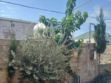 4-room house for sale in Binə, 80 m², 43 000 AZN, photo 2 / 11