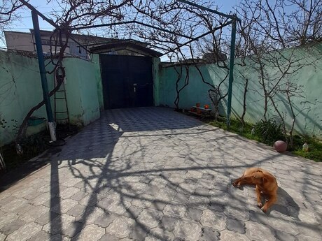 Yeni Ramanada 3 otaqlı həyət evi satılır, 193 m², 120 000 AZN, şəkil 3 / 12
