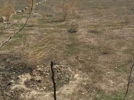 Türkanda 1 otaqlı həyət evi satılır, 19 m², 35 000 AZN, şəkil 4 / 4