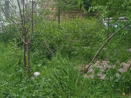 11-room house for sale in M.Ə.Rəsulzadə, 450 m², 320 000 AZN, photo 3 / 6