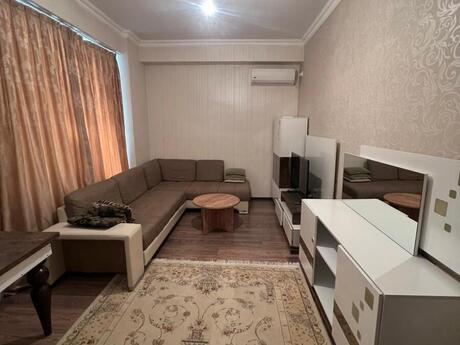 3 otaq · 83 m²