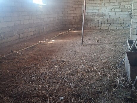 8-room house for sale in Zirə, 400 m², 480 000 AZN, photo 2 / 12
