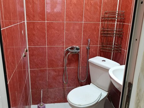 2 otaq · 55 m²
